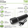 Фонарь ручной GAUSS GFL202 1W 50lm Li-ion 1200mAh LED GF202