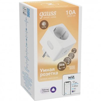 Сетевой переходник GAUSS SMART HOME 2300W 207-253V 10А IP20 c заземлением